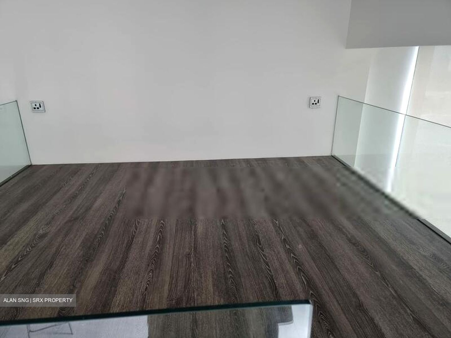 The Scotts Tower (D9), Condominium #408811101